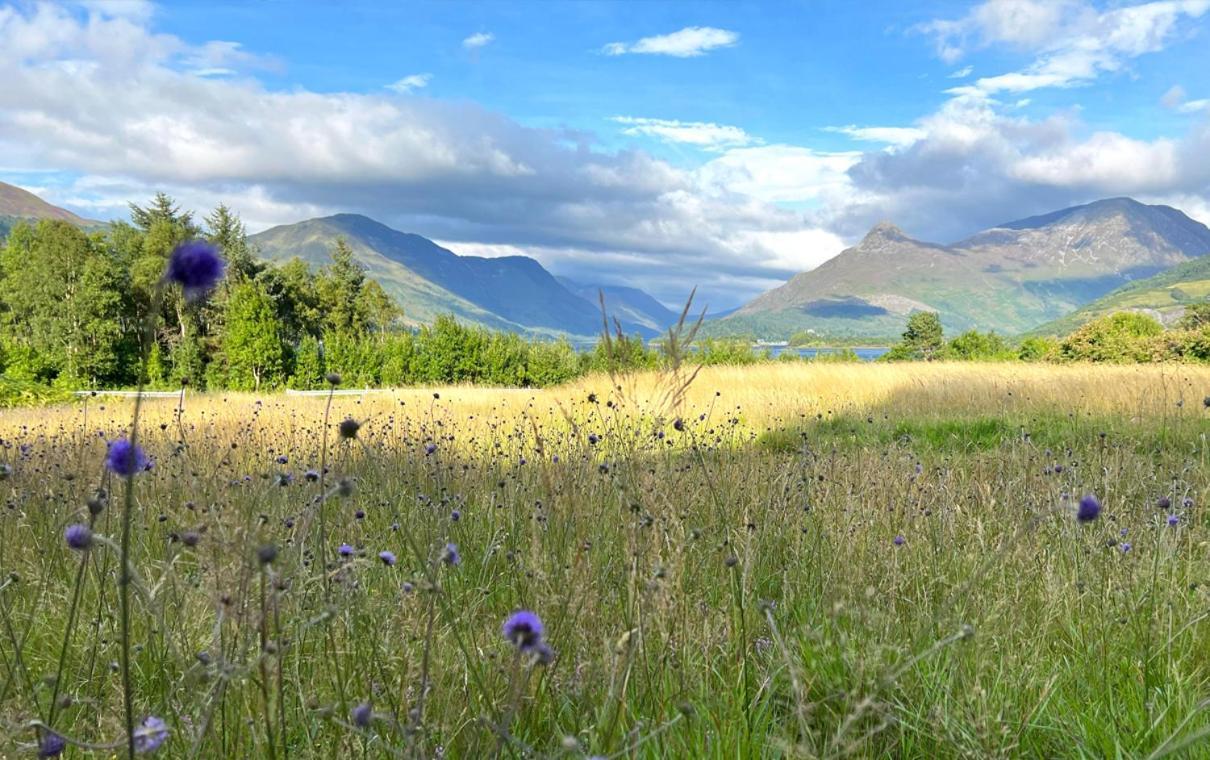 St John'S Old Rectory Hotell Glencoe Eksteriør bilde